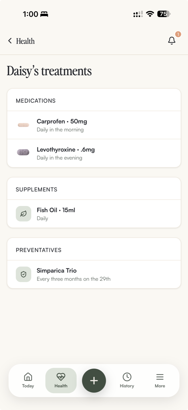 Bubba medications screen